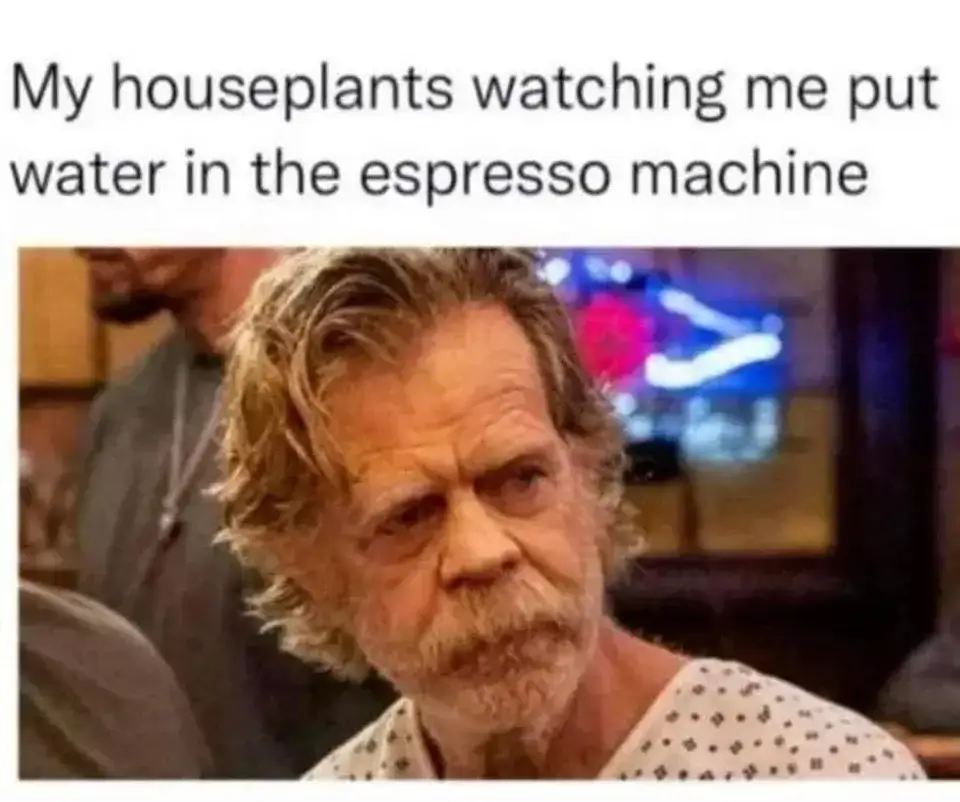 100+ Funny ADHD Memes the Ultimate Collection Deepwrk